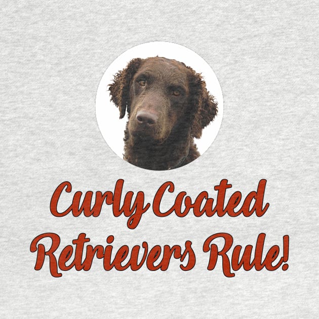 Curly Coated Retrievers Rule! by Naves